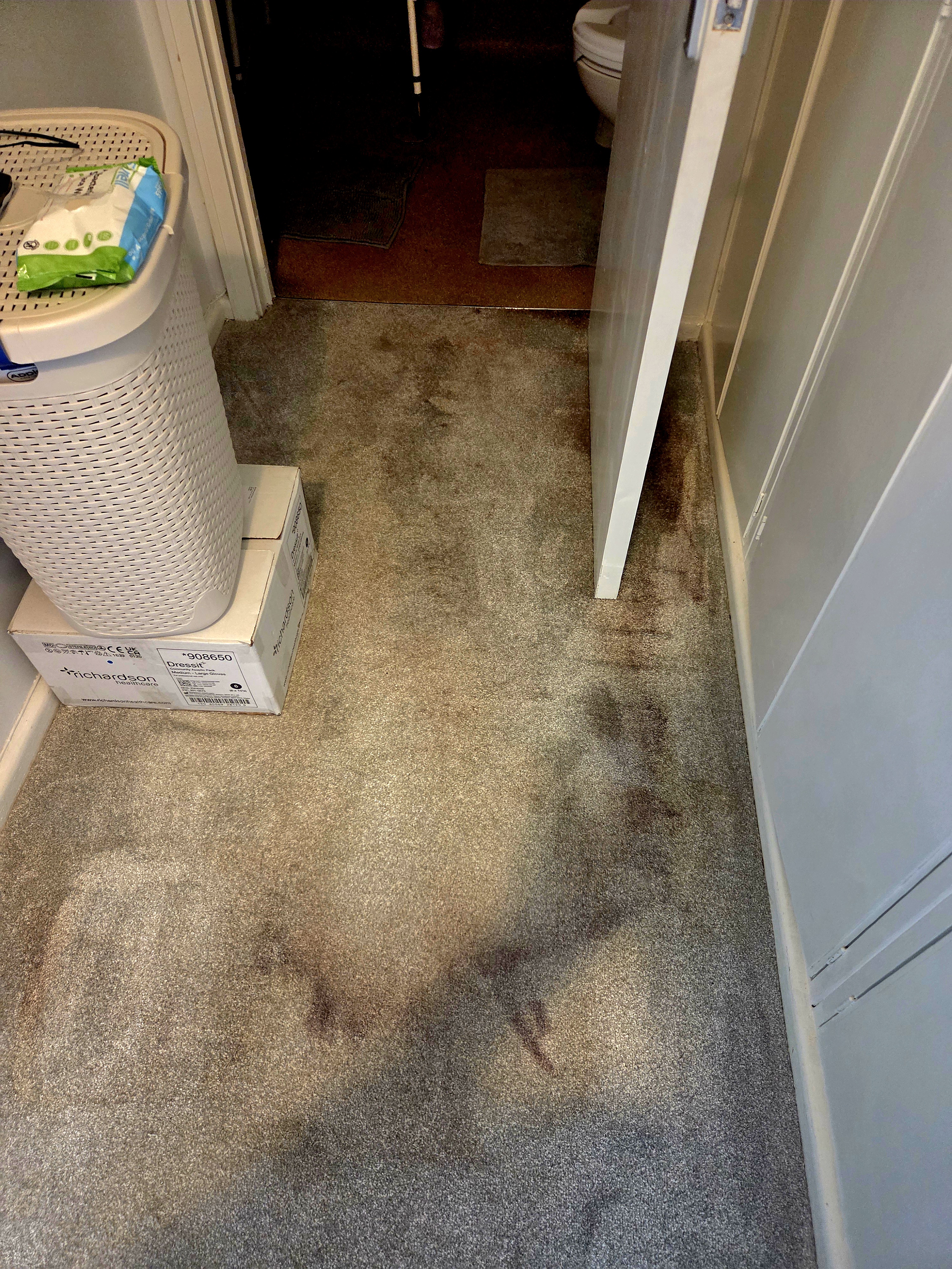 Before carpet cleaning freshen up by Escafeld Property Care